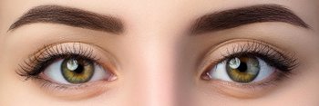 Eyebrow Transplant